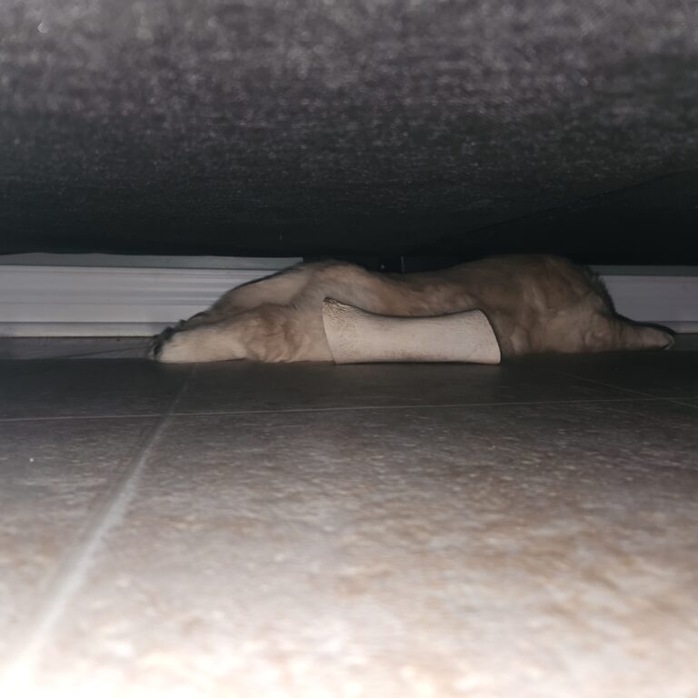 As far under couch as possible
