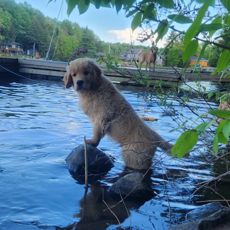 Checking out the lake