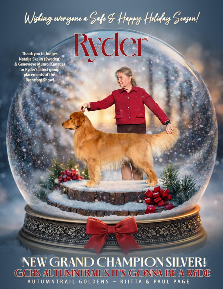 Almost a Christmas card