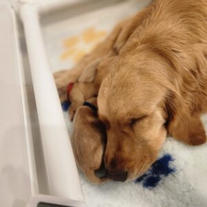 20261011_161802