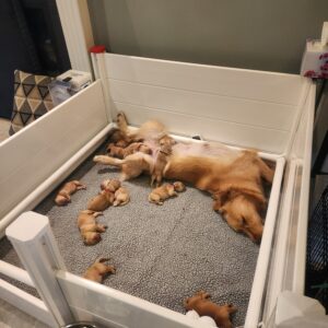 Ella settling into motherhood